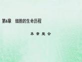 新教材適用2023_2024學(xué)年高中生物第6章細(xì)胞的生命歷程本章整合課件新人教版必修1