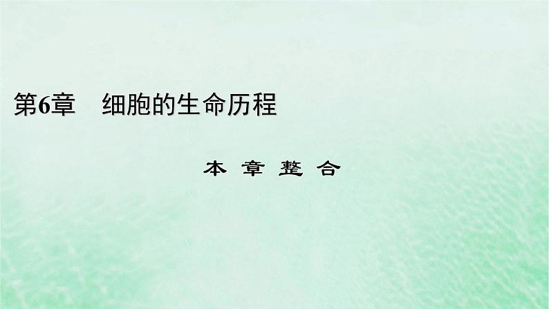新教材适用2023_2024学年高中生物第6章细胞的生命历程本章整合课件新人教版必修1第1页