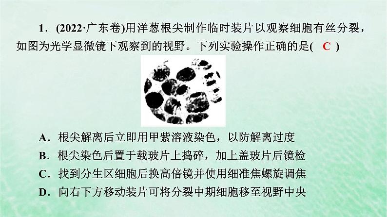 新教材适用2023_2024学年高中生物第6章细胞的生命历程本章整合课件新人教版必修1第6页