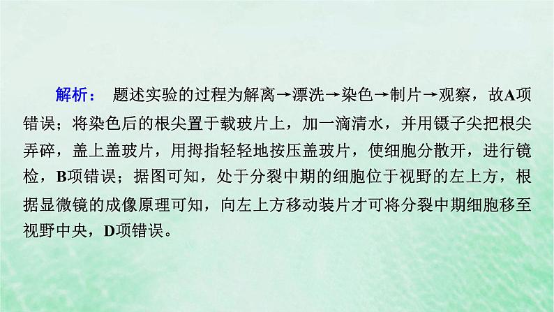 新教材适用2023_2024学年高中生物第6章细胞的生命历程本章整合课件新人教版必修1第7页