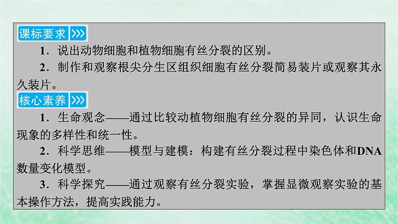 新教材适用2023_2024学年高中生物第6章细胞的生命历程第1节细胞的增殖第2课时动物细胞的有丝分裂及无丝分裂与观察根尖分生区组织细胞的有丝分裂课件新人教版必修1第3页