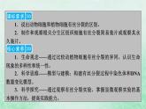 新教材适用2023_2024学年高中生物第6章细胞的生命历程第1节细胞的增殖第2课时动物细胞的有丝分裂及无丝分裂与观察根尖分生区组织细胞的有丝分裂课件新人教版必修1