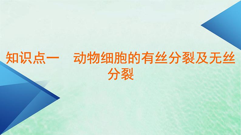 新教材适用2023_2024学年高中生物第6章细胞的生命历程第1节细胞的增殖第2课时动物细胞的有丝分裂及无丝分裂与观察根尖分生区组织细胞的有丝分裂课件新人教版必修1第5页