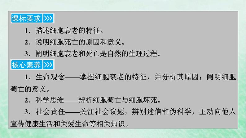 新教材适用2023_2024学年高中生物第6章细胞的生命历程第3节细胞的衰老和死亡课件新人教版必修1第3页