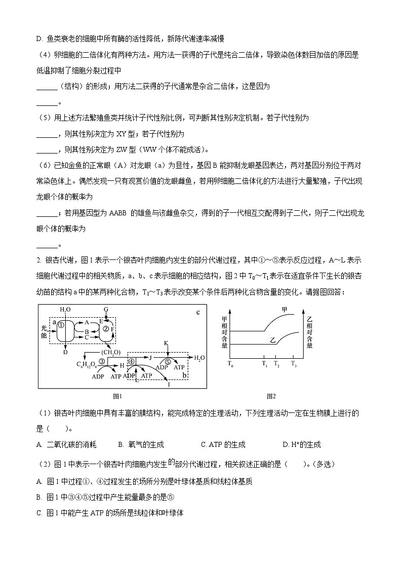 2024上海交通大学附中高二上学期10月月考试题生物含解析02