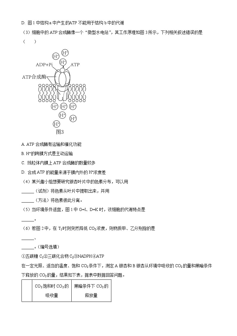 2024上海交通大学附中高二上学期10月月考试题生物含解析03