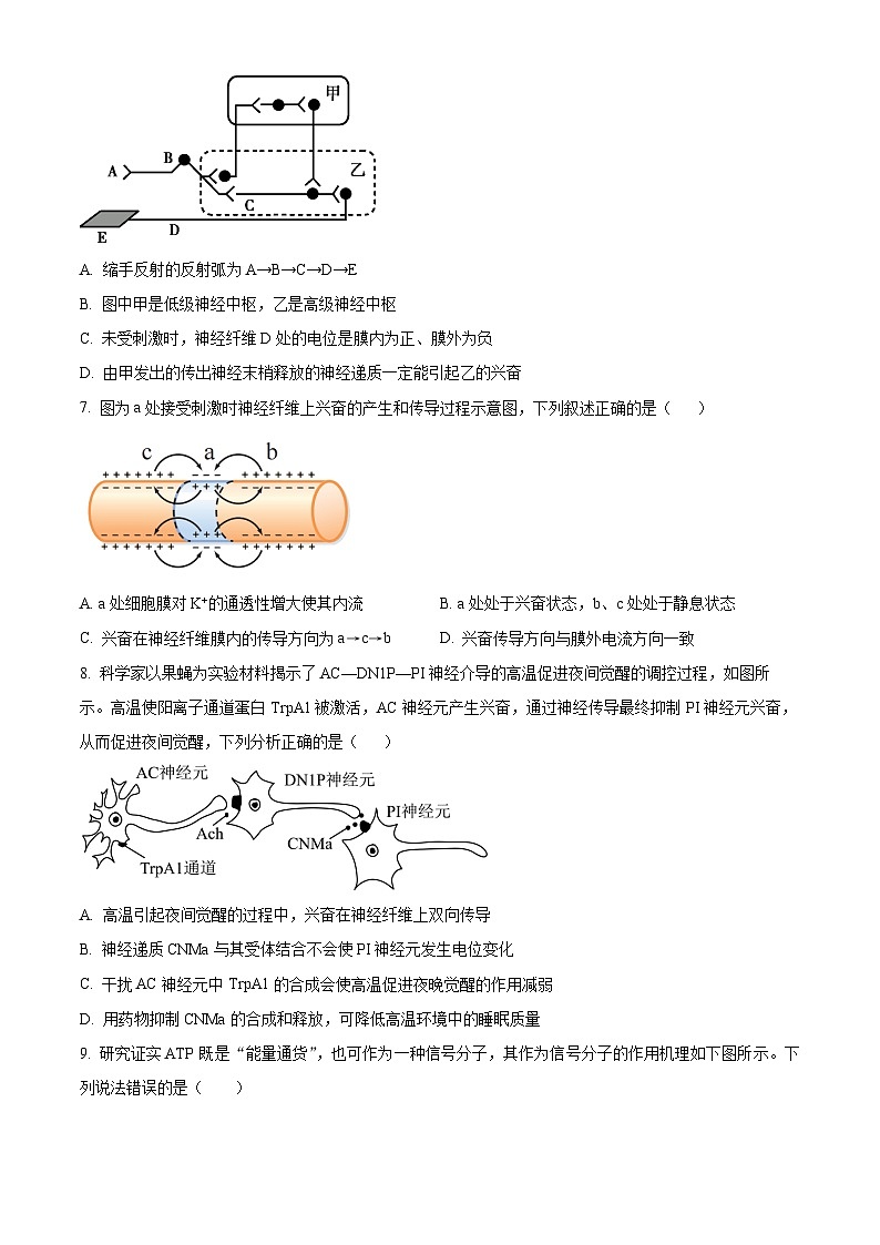 2024北京市顺义牛栏山一中高二上学期10月月考试题生物含解析第2页