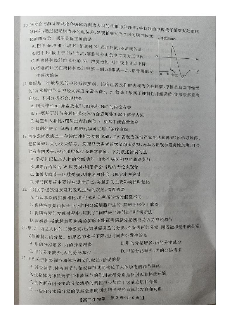 2024河南省金科・新未来高二上学期期中考试生物PDF版含解析第3页