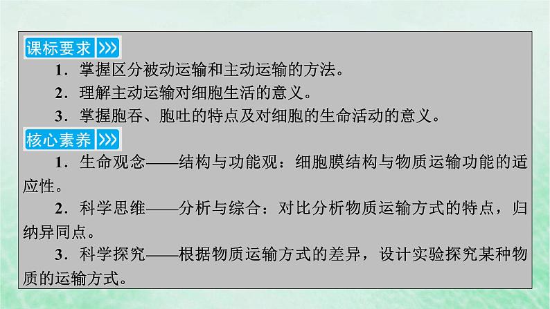 新教材适用2023_2024学年高中生物第4章细胞的物质输入和输出第2节主动运输与胞吞胞吐课件新人教版必修1第3页