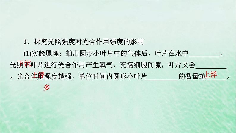 新教材适用2023_2024学年高中生物第5章细胞的能量供应和利用第4节光合作用与能量转化第3课时光合作用原理的应用课件新人教版必修107