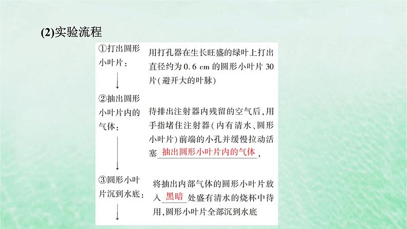 新教材适用2023_2024学年高中生物第5章细胞的能量供应和利用第4节光合作用与能量转化第3课时光合作用原理的应用课件新人教版必修108