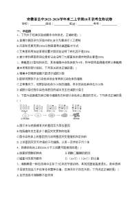 安徽省县中2023-2024学年高二上学期10月联考生物试卷(含答案)