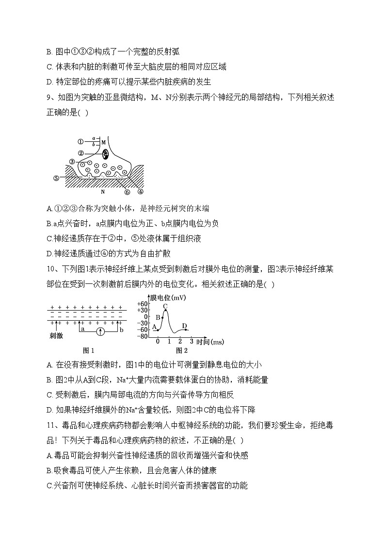 长春市第二实验中学2023-2024学年高二上学期10月月考生物试卷(含答案)03