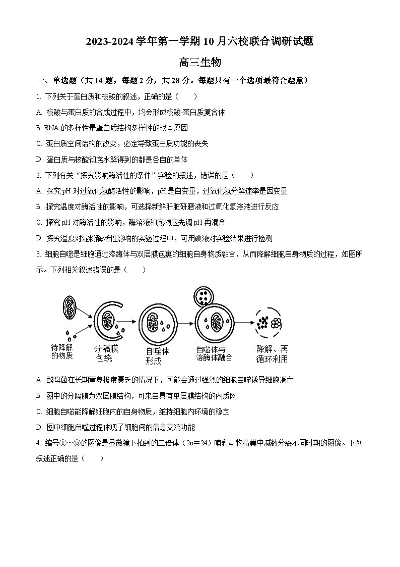 精品解析：江苏省南京市六校联合体2023-2024学年高三10月联合调研生物试题（原卷版）第1页