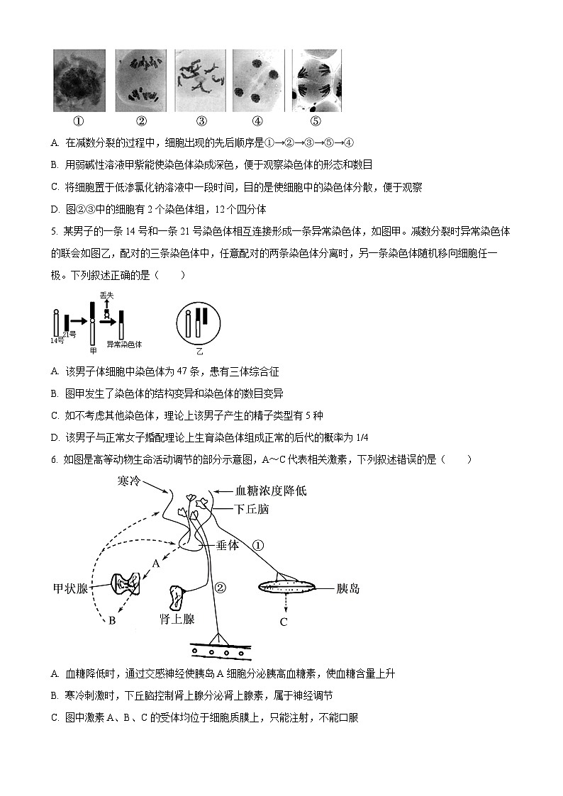 精品解析：江苏省南京市六校联合体2023-2024学年高三10月联合调研生物试题（原卷版）第2页