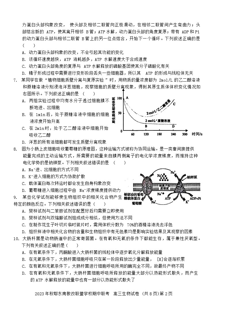 2023年秋季鄂东南省级示范高中教育教学改革联盟学校期中联考高三生物试卷第2页