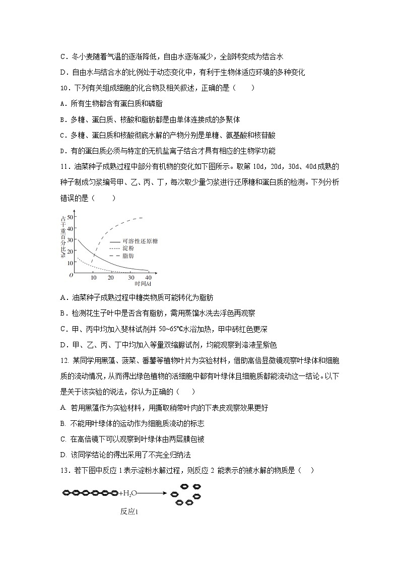 福建省南安市侨光中学2023-2024学年高一上学期11月月考生物试题第3页