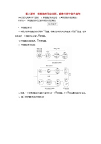 生物人教版 (2019)一 减数分裂第2课时学案
