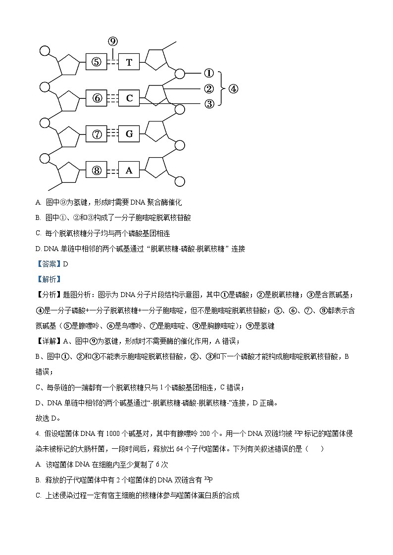 安徽省安庆市二中2021-2022学年高二生物上学期期中试题（Word版附解析）第3页