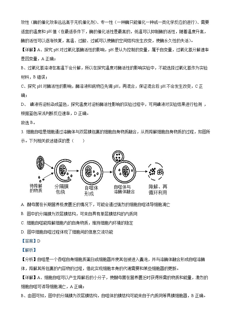 江苏省南京市六校联合体2023-2024学年高三生物上学期10月联合调研试卷（Word版附解析）第2页