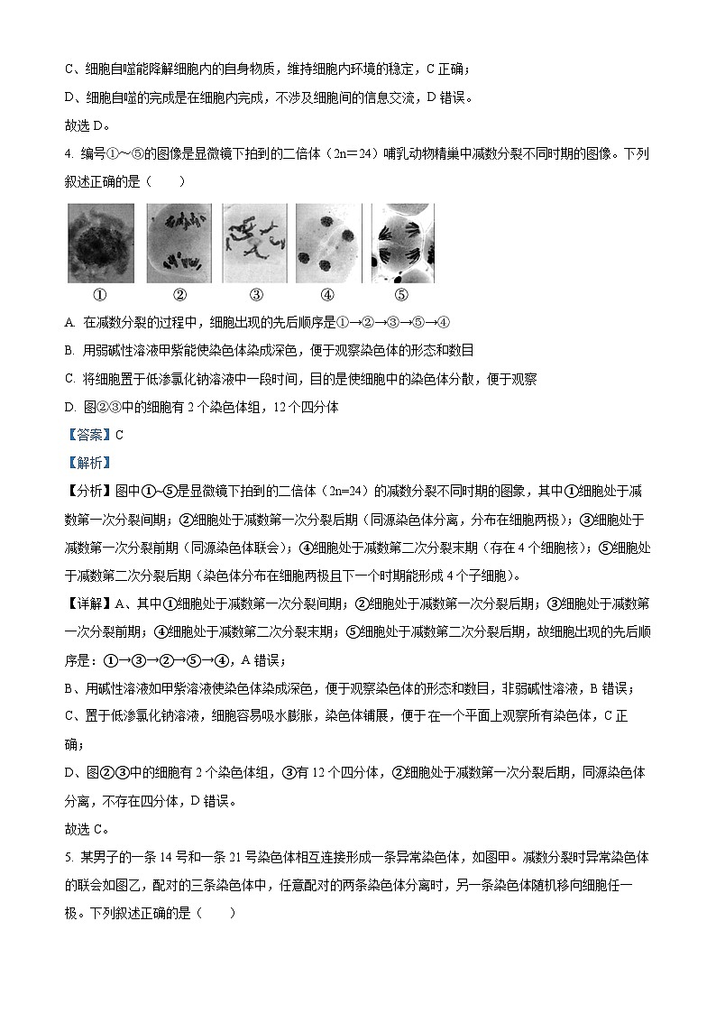 江苏省南京市六校联合体2023-2024学年高三生物上学期10月联合调研试卷（Word版附解析）第3页