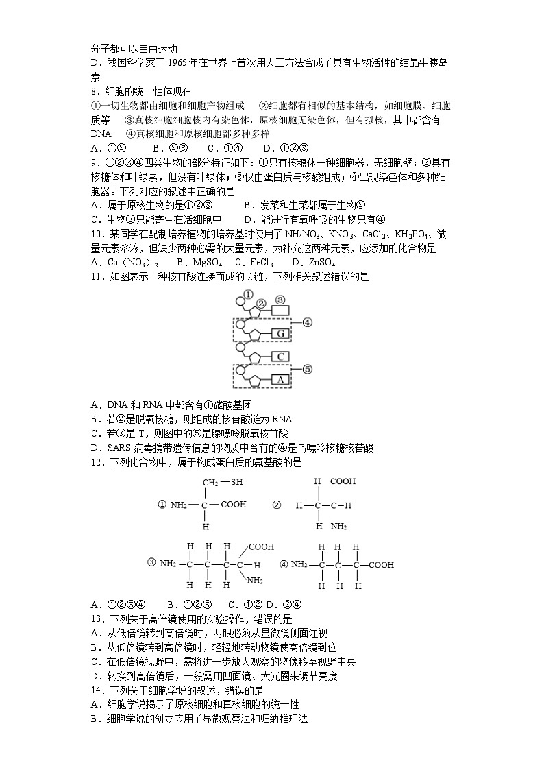 湖北省荆州中学2023-2024学年高一生物上学期10月月考试题（Word版附答案）02