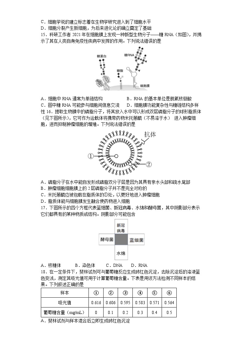 湖北省荆州中学2023-2024学年高一生物上学期10月月考试题（Word版附答案）03