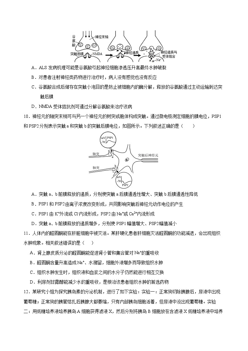 湖北省荆州中学2023-2024学年高二生物上学期10月月考试题（Word版附答案）03