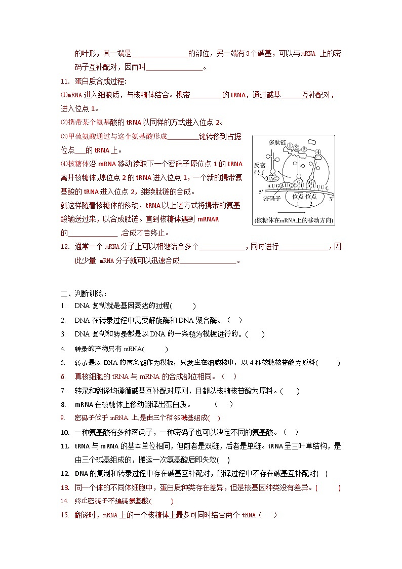 高三生物一轮复习导学案 基因的表达第2页