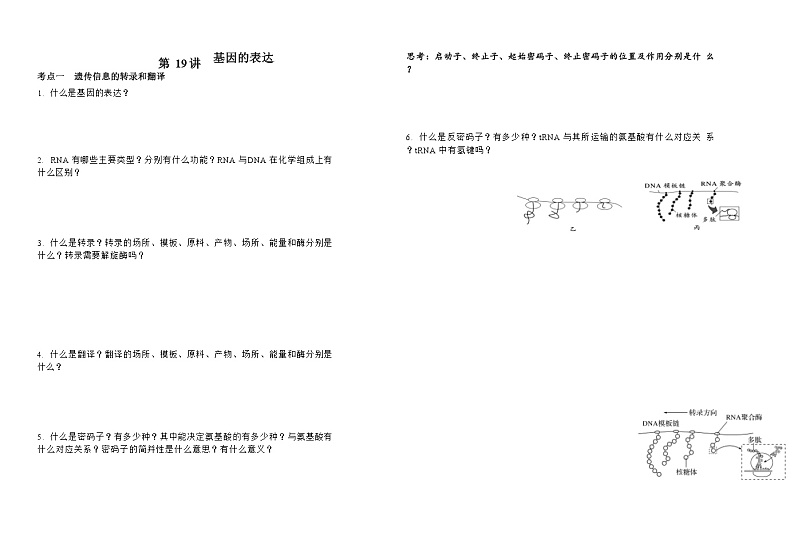 高三生物一轮复习导学案：基因表达第1页