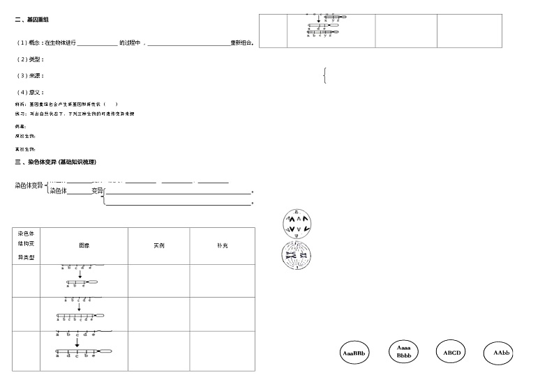 高三生物一轮复习导学案：基因突变、基因重组、染色体变异第3页