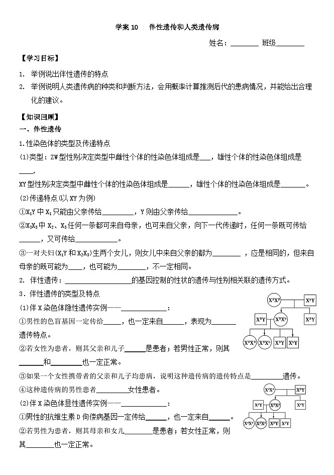 高三生物一轮复习导学案10伴性遗传和人类遗传病第1页