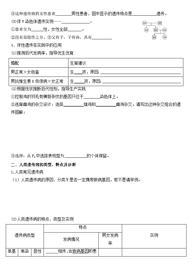 高三生物一轮复习导学案10伴性遗传和人类遗传病第2页