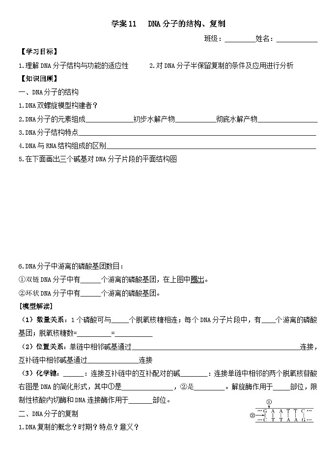 高三生物一轮复习导学案13DNA的结构和复制、基因的本质01
