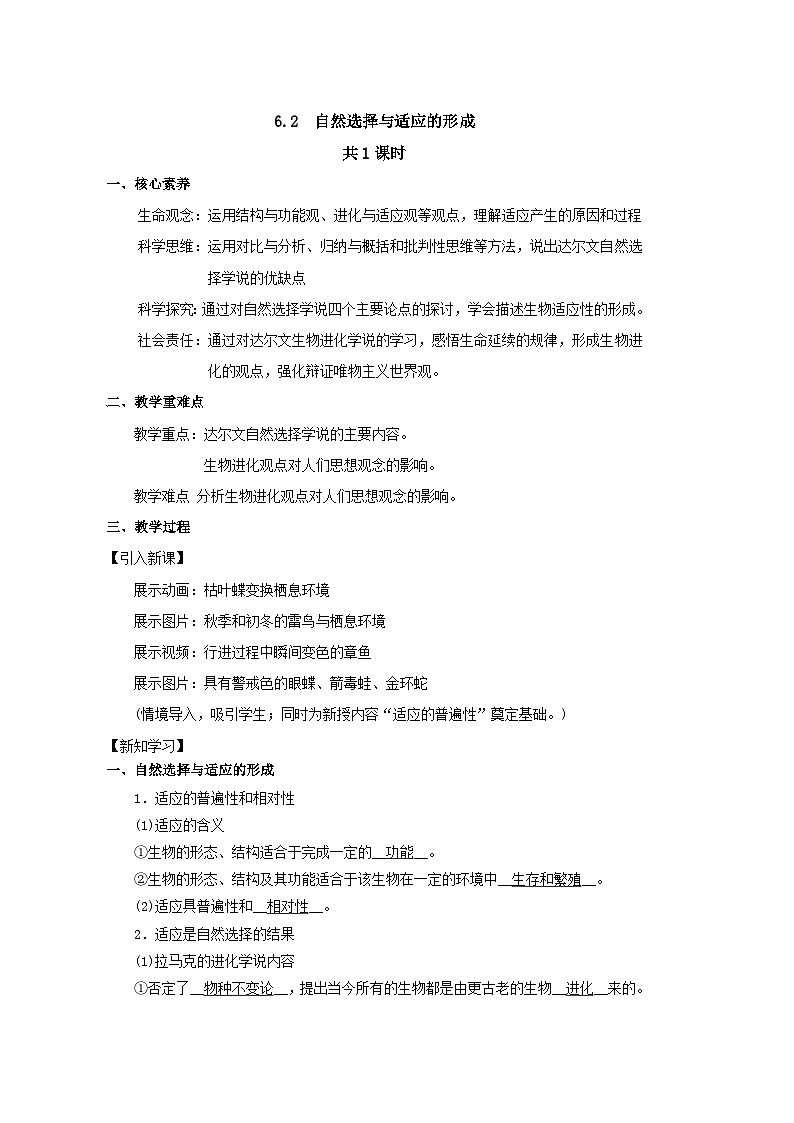 6.2自然选择与适应的形成教学设计  高中生物人教版必修二01