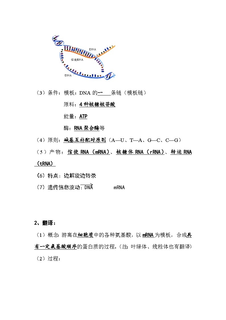 第4章  基因的表达知识汇总 高中生物人教版必修2第2页