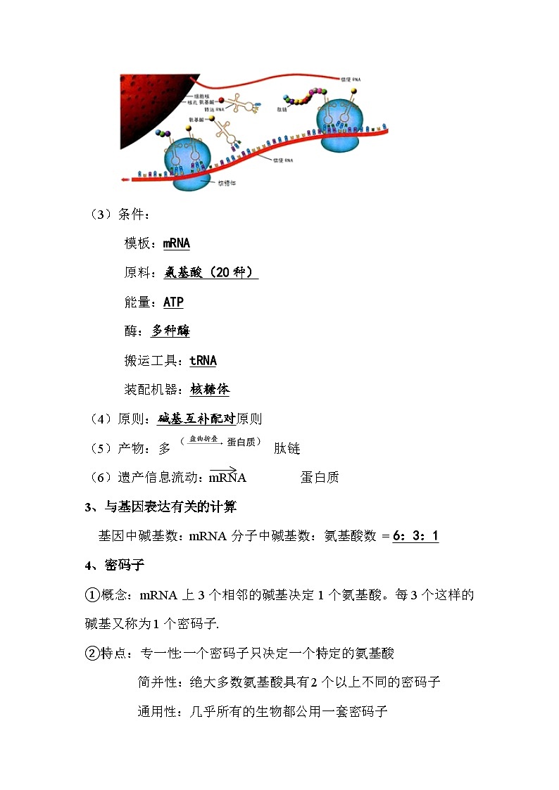 第4章  基因的表达知识汇总 高中生物人教版必修2第3页