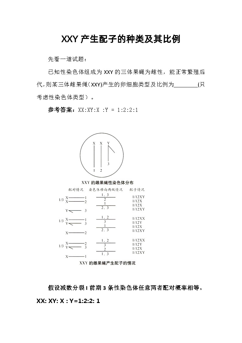 备课素材：XXY产生配子的种类及其比例  高中生物人教版必修2第1页