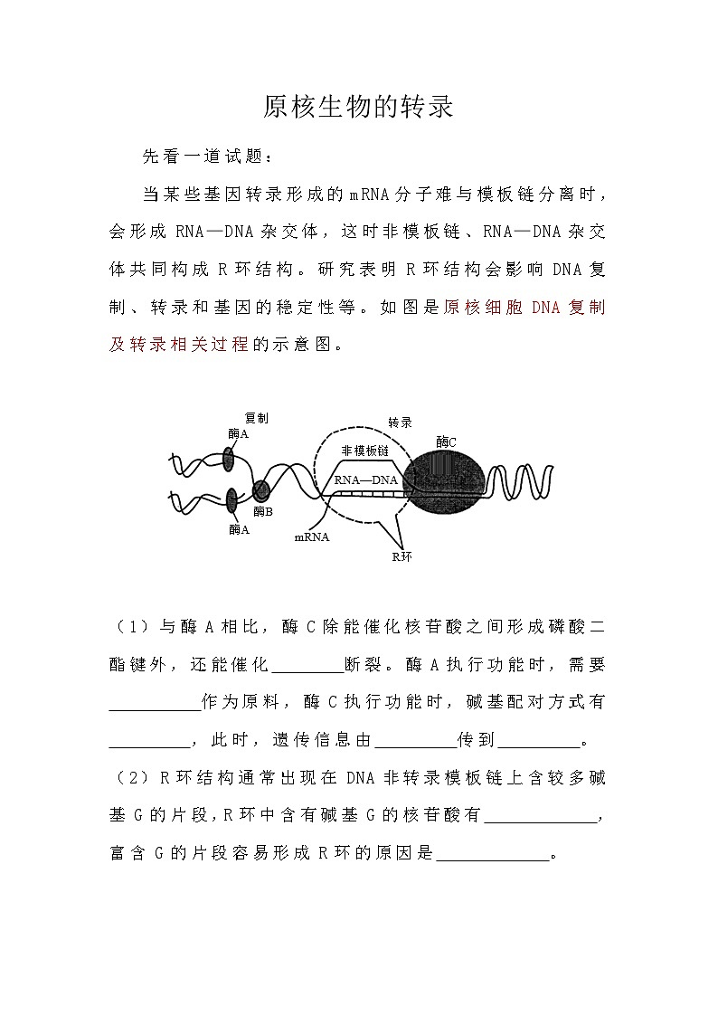 备课素材：原核生物的转录  高中生物人教版必修2第1页