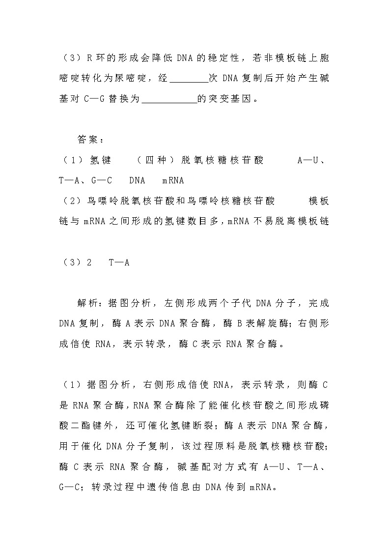 备课素材：原核生物的转录  高中生物人教版必修2第2页