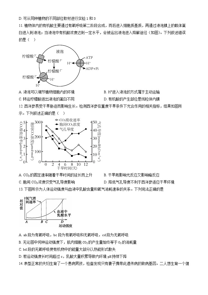 2023北京二中高三10月月考生物第3页