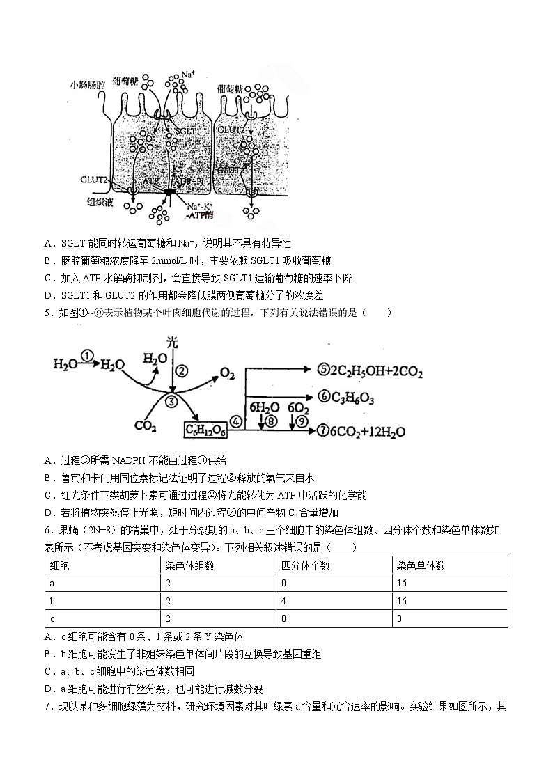 2024天津市南开中学高三上学期第一次月考生物试题含答案第2页