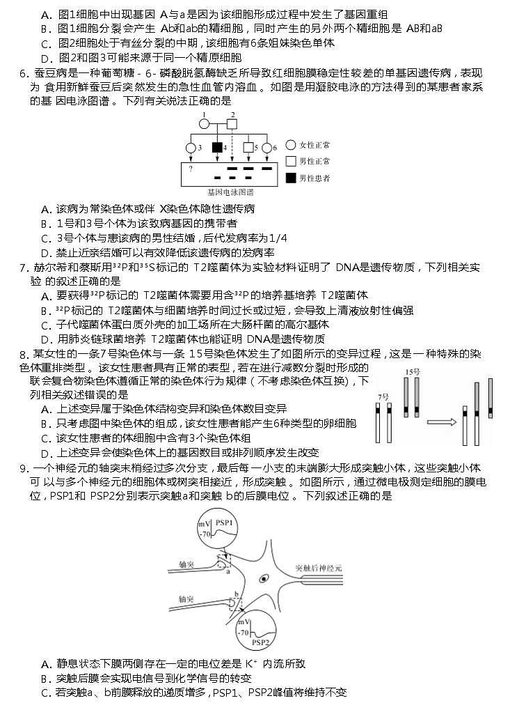 2024届湖南省三湘名校教育联盟、湖湘名校教育联合体高三10月大联考生物第2页