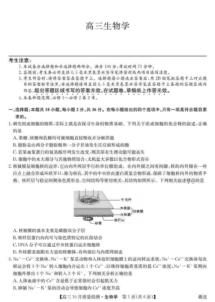 2024湖北省九师联盟高三上学期10月质量检测生物PDF版含答案、答题卡01