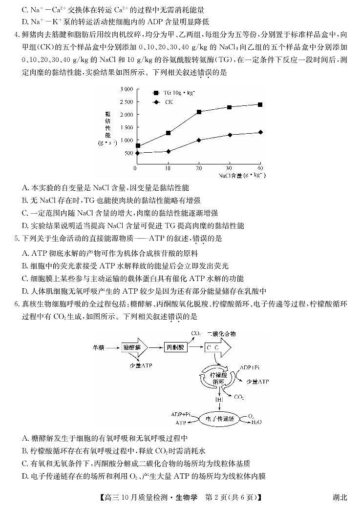 2024湖北省九师联盟高三上学期10月质量检测生物PDF版含答案、答题卡02