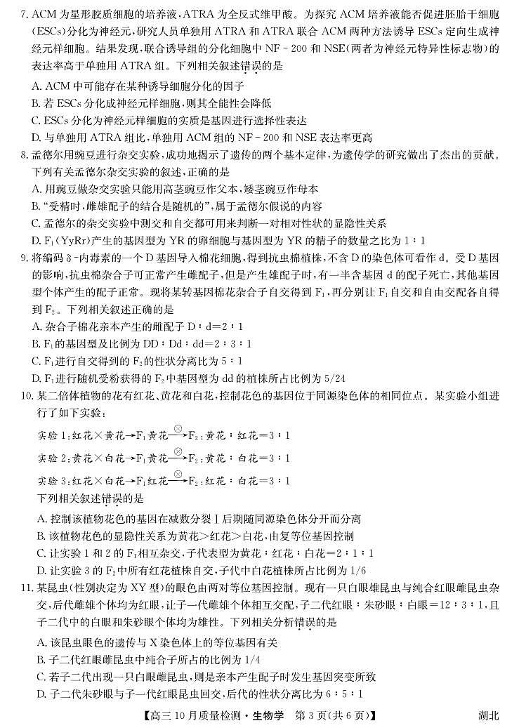 2024湖北省九师联盟高三上学期10月质量检测生物PDF版含答案、答题卡03