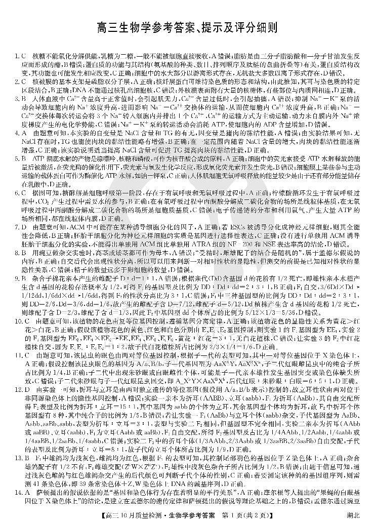 2024湖北省九师联盟高三上学期10月质量检测生物PDF版含答案、答题卡01