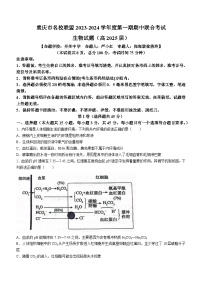 2024重庆市名校联盟高二上学期11月期中考试生物含答案