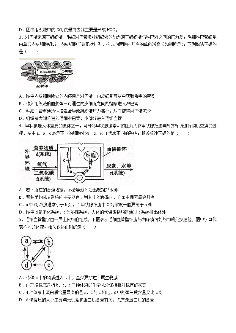 2024重庆市名校联盟高二上学期11月期中考试生物含答案02