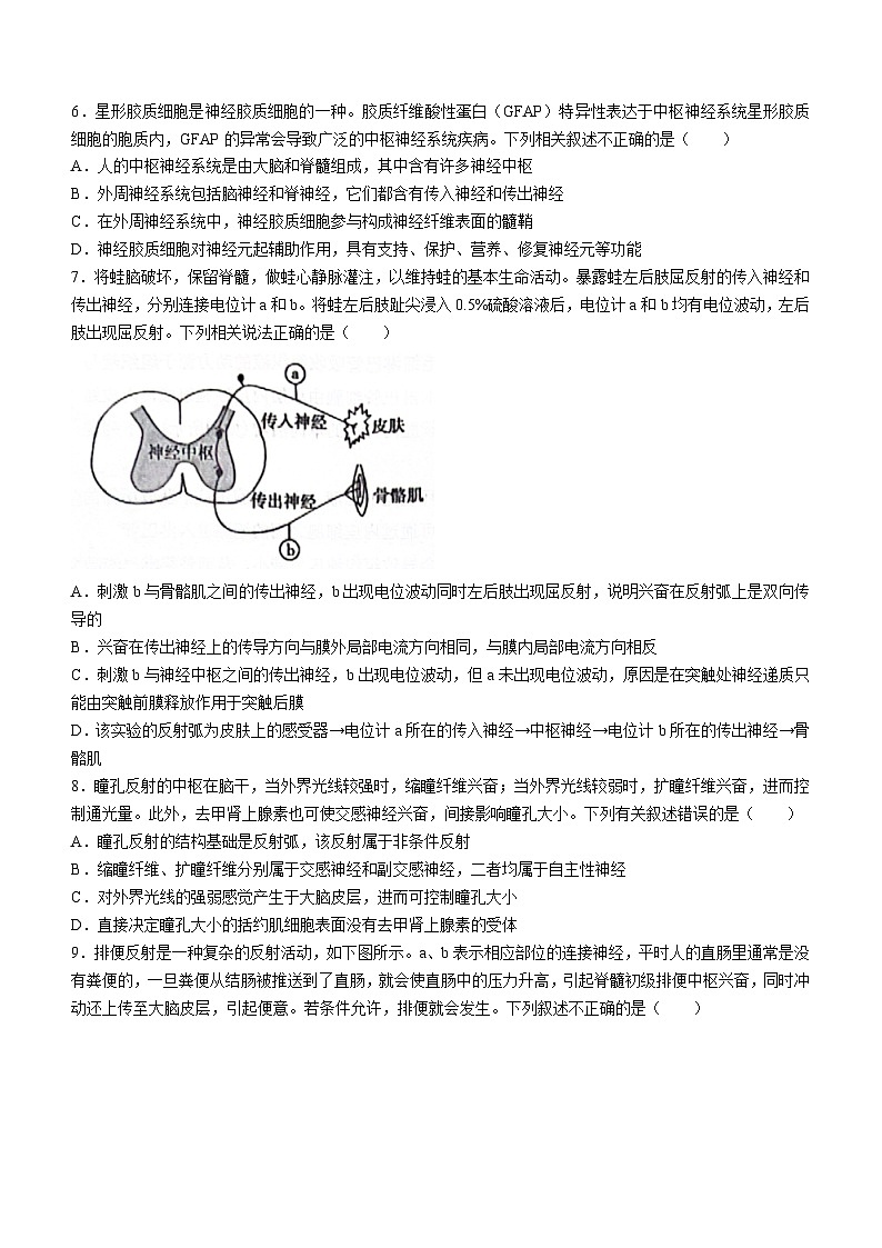 2024重庆市名校联盟高二上学期11月期中考试生物含答案03